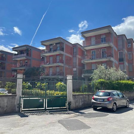 Flavia Apartment 卡斯特拉玛雷帝斯达比亚 外观 照片